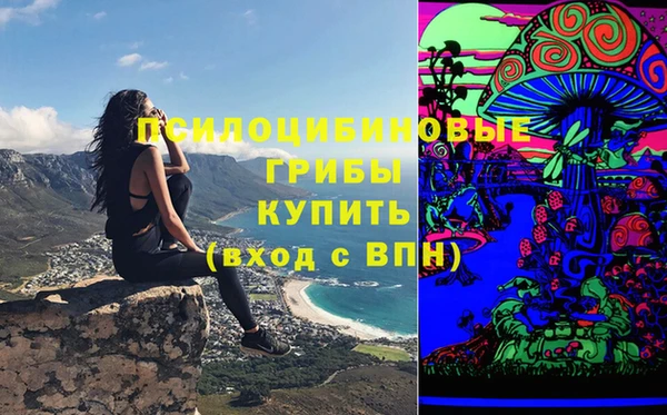 apvp Алексеевка