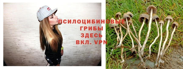 герыч Алзамай