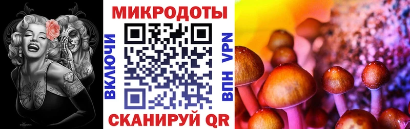 Псилоцибиновые грибы Magic Shrooms  Микунь 